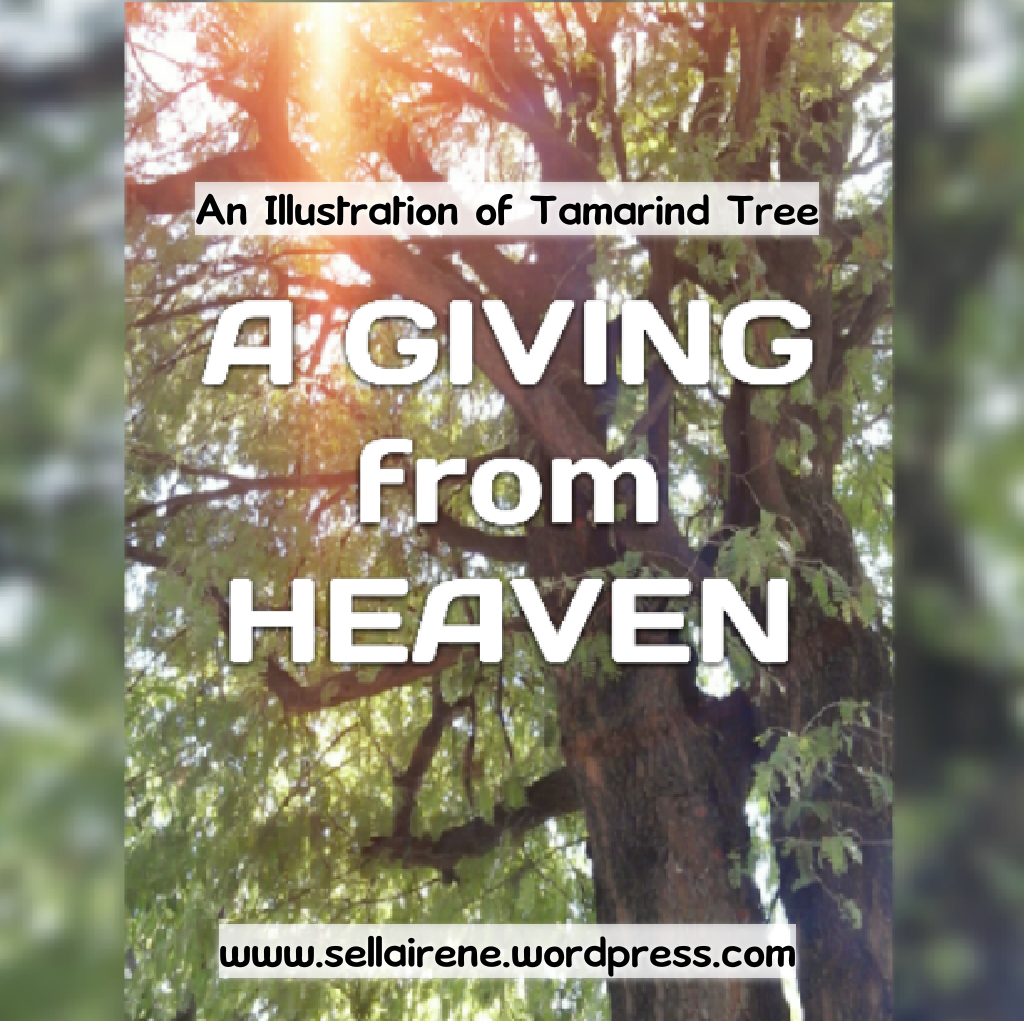 An Illustration Of Tamarind Tree A Giving From Heaven Beautiful Words